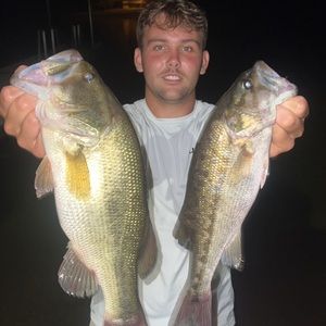 Meet your Posher, Peyton